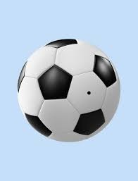 萨内蒂：卡尔博尼伤愈后会更强，他能在国米和阿根廷表现出色